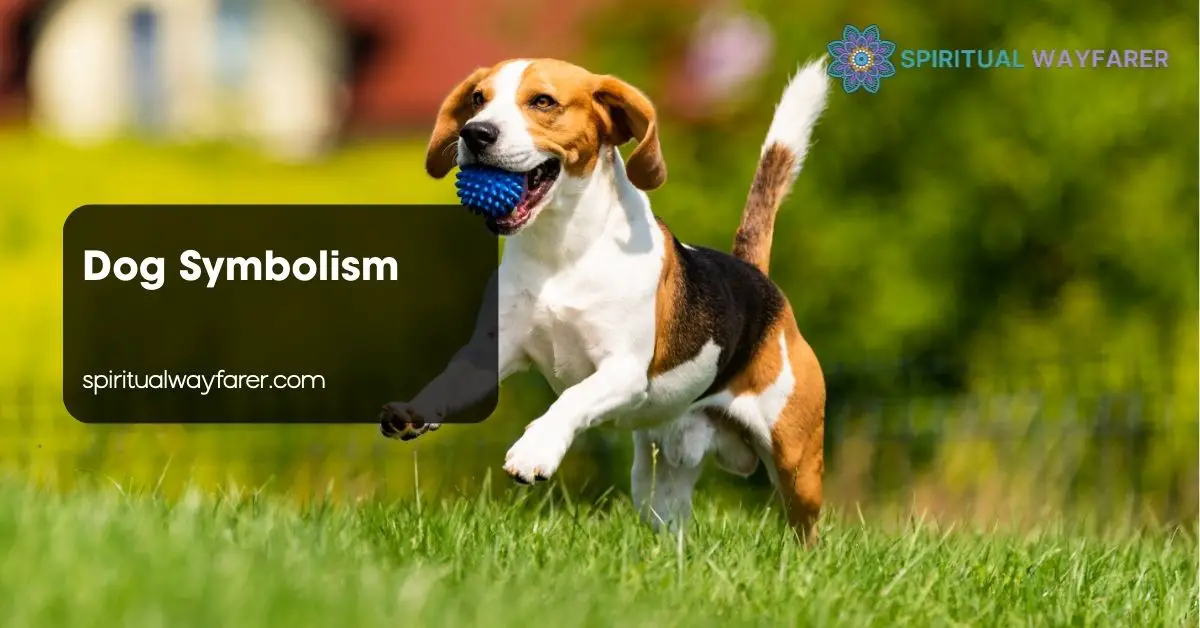 Dog Symbolism