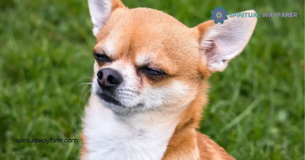 Unlocking Dog Symbolism: What Your Furry Friend Truly Represents 4 Dogs In Literature And Art
