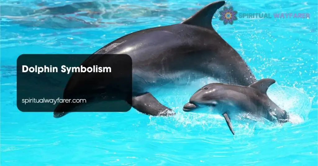 Dolphin Symbolism