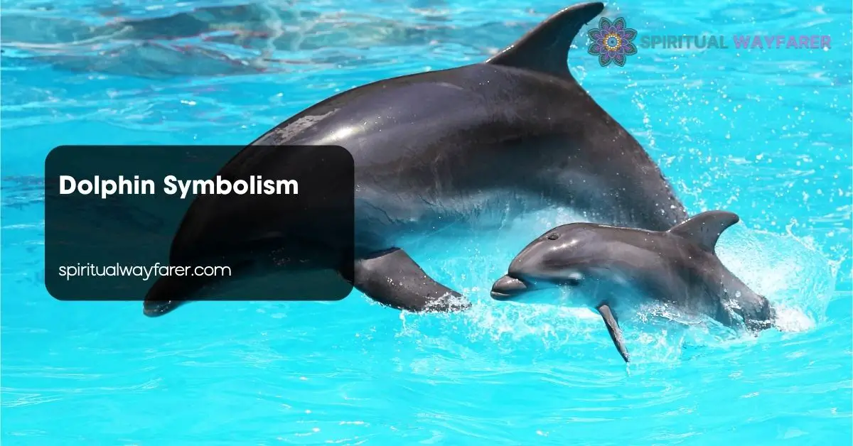 Dolphin Symbolism