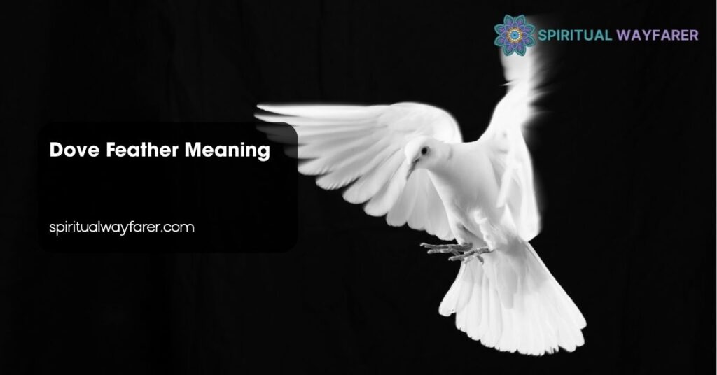 Dove Feather Meaning