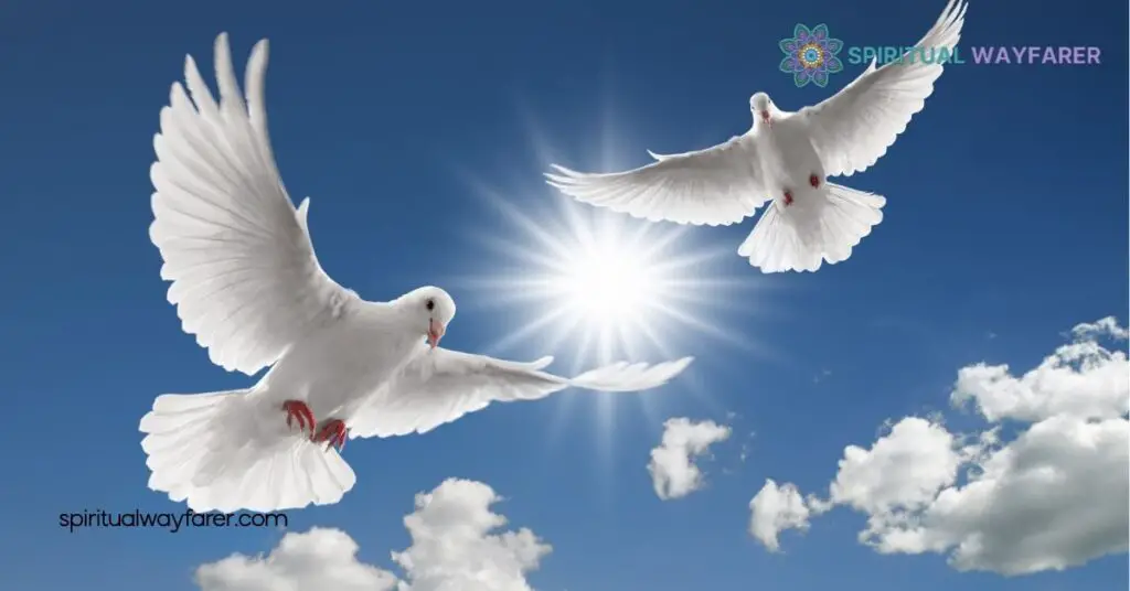 Animals That Symbolize Hope: 6 Inspiring Creatures to Uplift Your Spirit 1 Doves Universal Emblem Of Hope