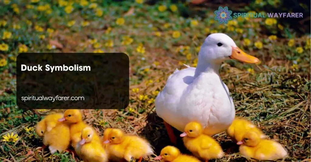 Duck Symbolism