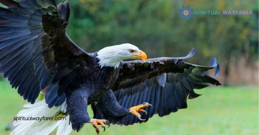 The Ultimate Guide to Eagle Symbolism: Meaning, History & Cultural Significance 3 Eagle Symbolism In Modern Times