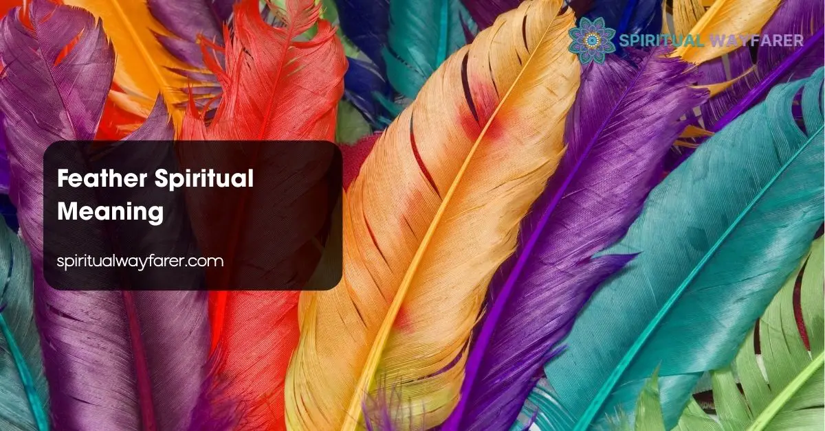 Feather Spiritual Meaning