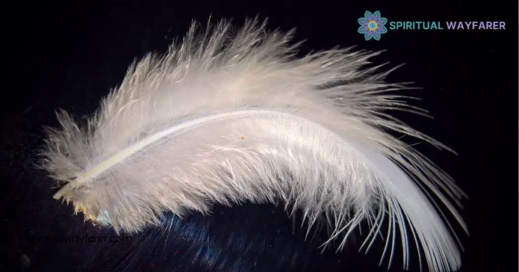 Biblical Meaning Brown White Feathers: Uncover Their Spiritual Significance 1 Feathers in Biblical Symbolism