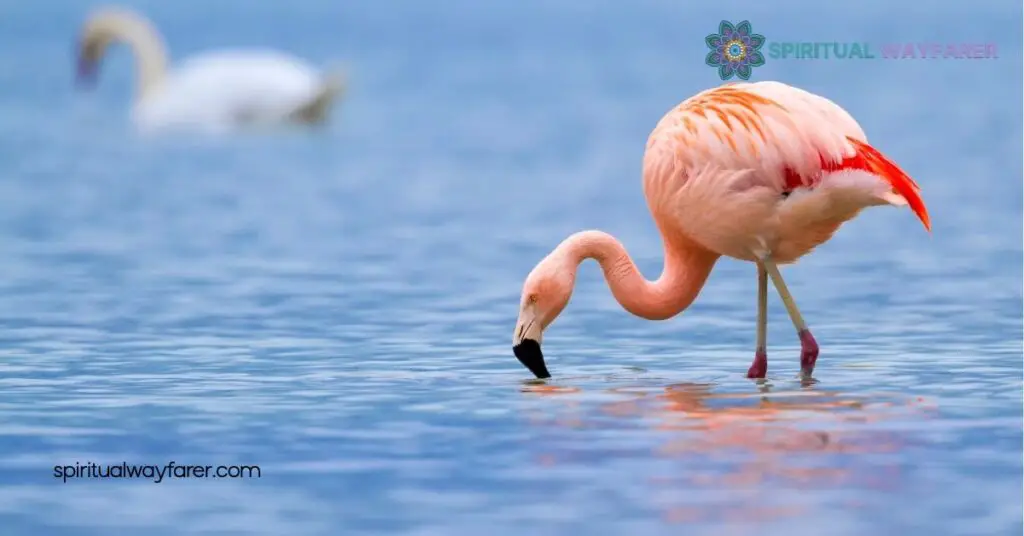Unlock the Hidden Meanings: Exploring Flamingo Symbolism Across Cultures 3 Flamingo Symbolism in Art and Literature