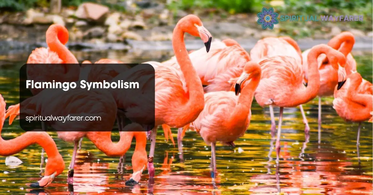 Flamingo Symbolism