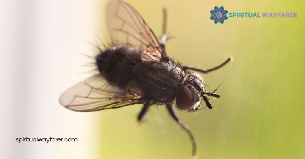 Fly Symbolism: Uncover the Hidden Meanings in Culture, Dreams & Art 3 Fly Symbolism in Literature