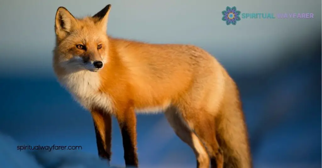 Unlocking Fox Symbolism: Discover the Hidden Meanings Behind This Cunning Creature 2 Fox Symbolism In Literature