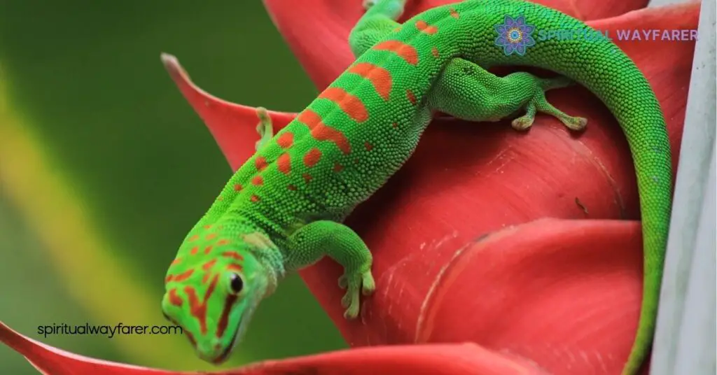 Unlock the Spiritual Meaning of Gecko: Protection, Adaptability & Personal Growth 2 Geckos and Personal Transformation