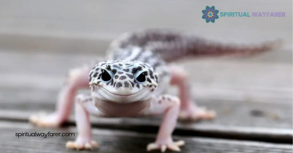 Unlock the Spiritual Meaning of Gecko: Protection, Adaptability & Personal Growth 4 Geckos as Protectors