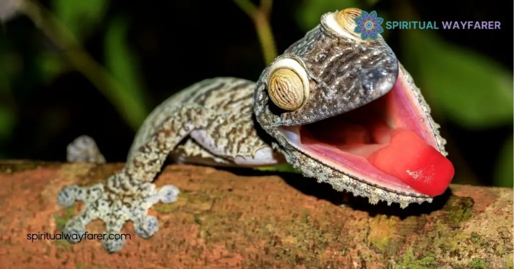 Unlock the Spiritual Meaning of Gecko: Protection, Adaptability & Personal Growth 3 Geckos in Dream Interpretation
