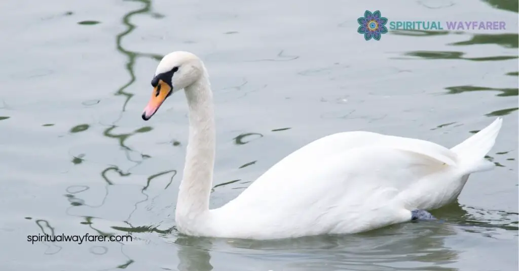 Unlocking Goose Symbolism: What These Birds Reveal About Loyalty and Culture 2 Geese in Mythology and Folklore