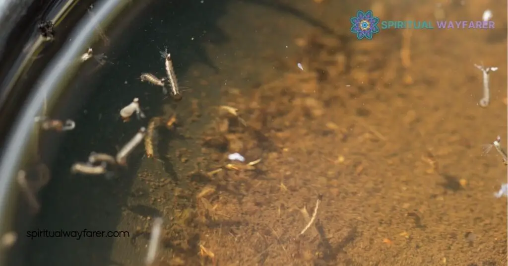 Discover the Spiritual Meaning of Gnats in Your House – Surprising Insights 3 Gnat Related House Spirits