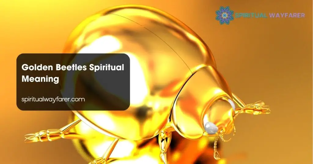 Golden Beetles Spiritual Meaning