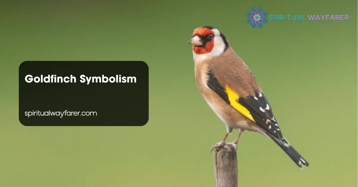 Goldfinch Symbolism