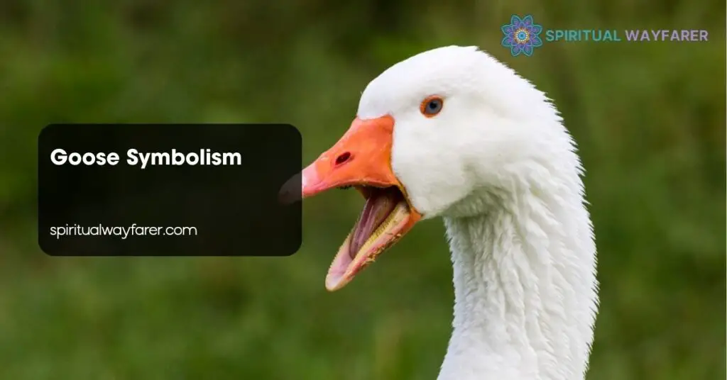 Goose Symbolism