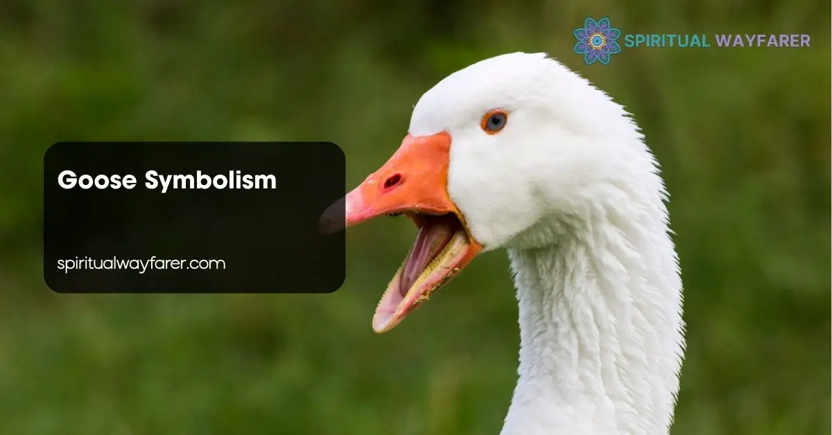 Goose Symbolism