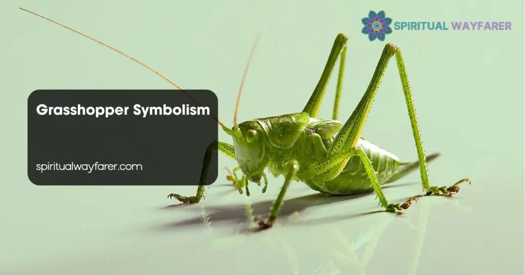 Grasshopper Symbolism