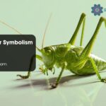 Grasshopper Symbolism