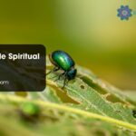 Green Beetle Spiritual Meaning