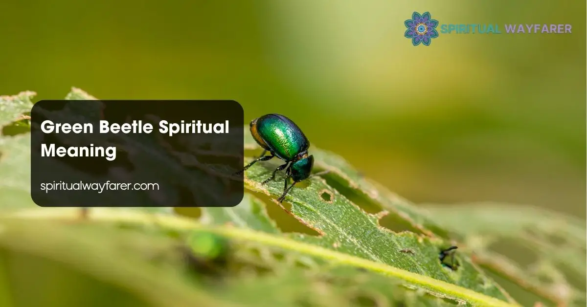 Green Beetle Spiritual Meaning