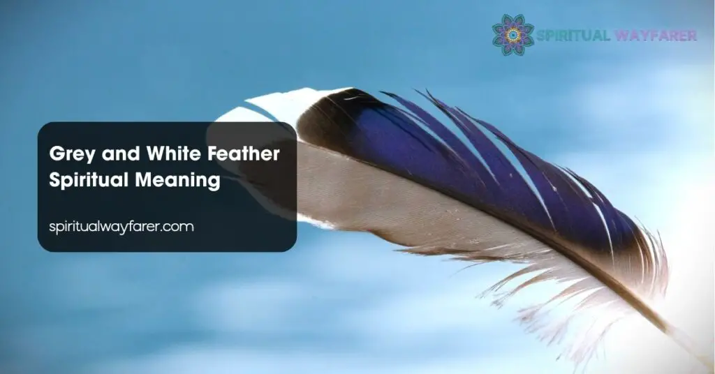 Grey and White Feather Spiritual Meaning