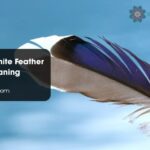 Grey and White Feather Spiritual Meaning