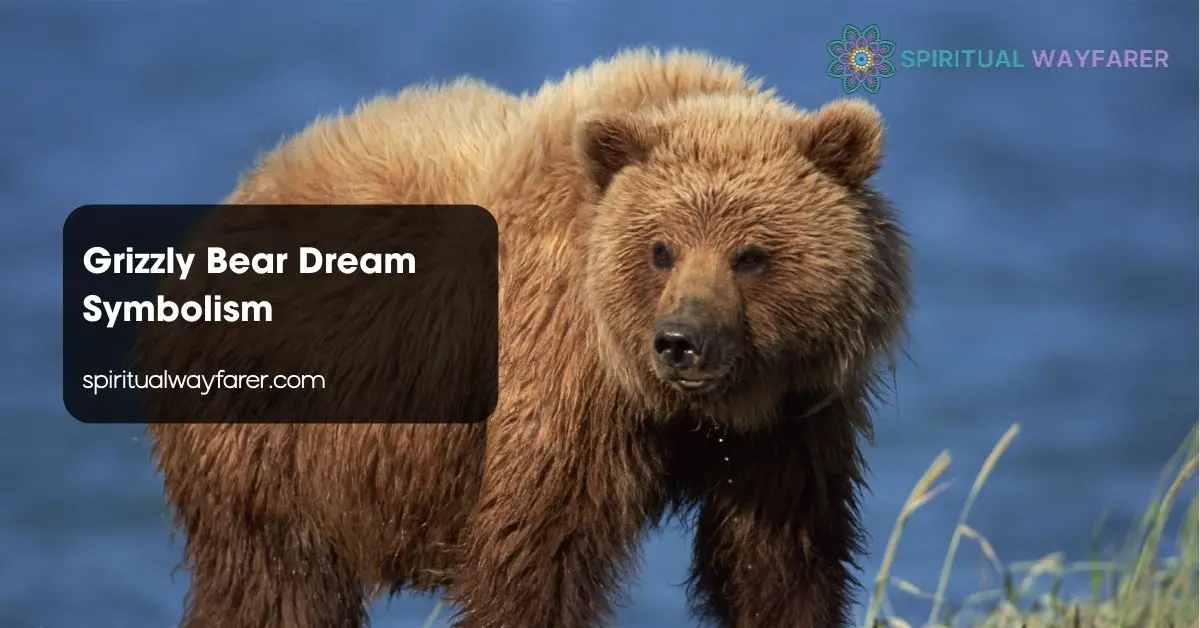 Grizzly Bear Dream Symbolism