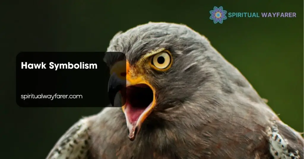Hawk Symbolism