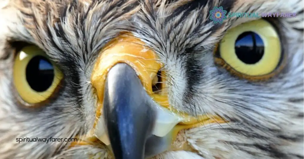 Discover the Powerful Hawk Symbolism: Strength, Vision, and Freedom Unveiled 4 Hawk Symbolism In Modern Context