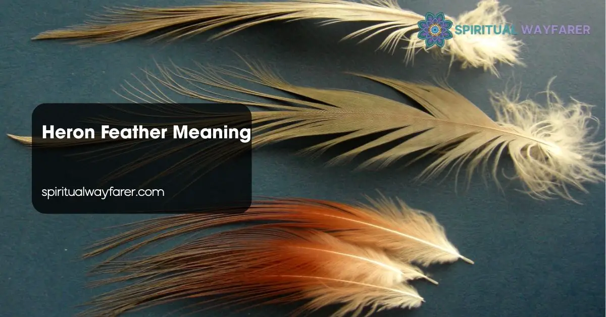 Heron Feather Meaning