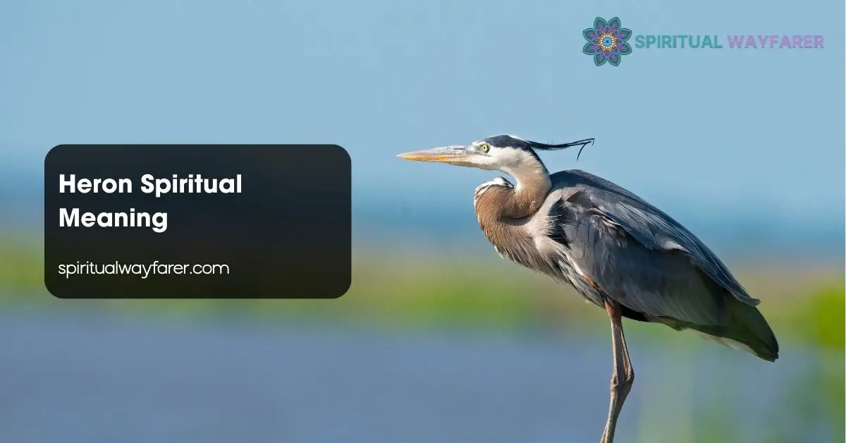 Heron Spiritual Meaning