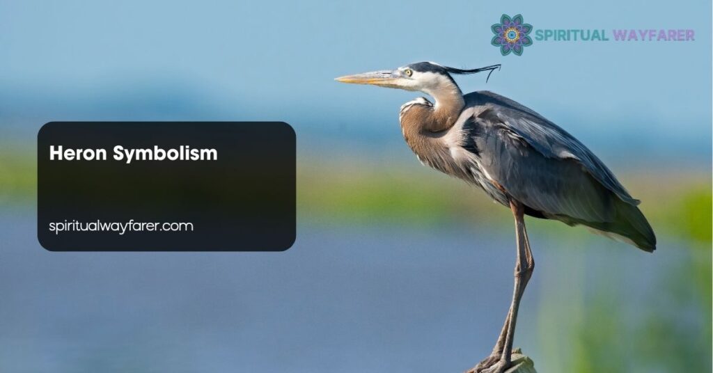 Heron Symbolism