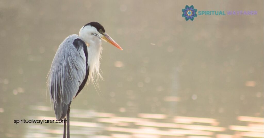 Heron Symbolism: Explore Grace, Wisdom & Cultural Meanings 3 Heron Symbolism in Literature and Art