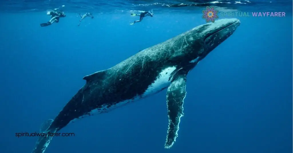 Whale Symbolism: Exploring Their Deep Cultural and Spiritual Meanings 2 Historical Context