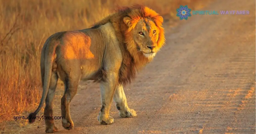Lion Symbolism Unveiled: Exploring Strength, Courage, and Cultural Significance 1 Historical Significance