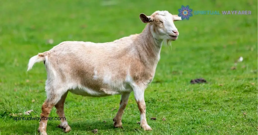 Goat Symbolism: Uncovering Its Cultural, Spiritual & Mythological Meanings 1 Historical Significance