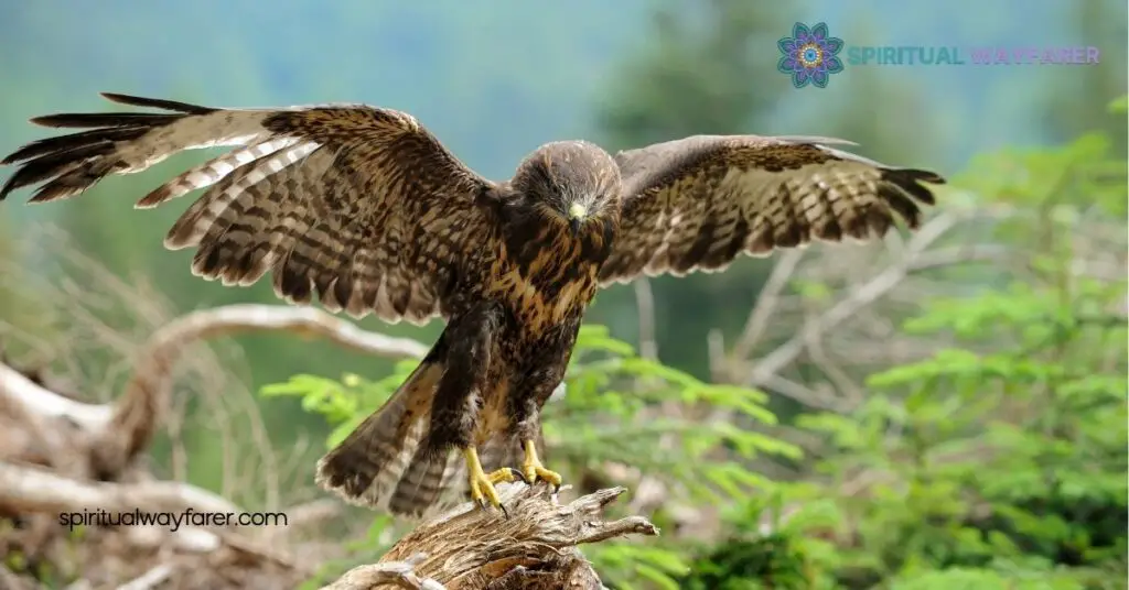 Discover the Powerful Hawk Symbolism: Strength, Vision, and Freedom Unveiled 1 Historical Significance Of Hawk Symbolism
