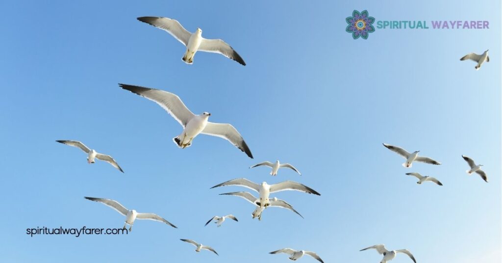 Unlocking the Hidden Meaning: Seagull Symbolism Explained 1 Historical Significance Of Seagull Symbolism