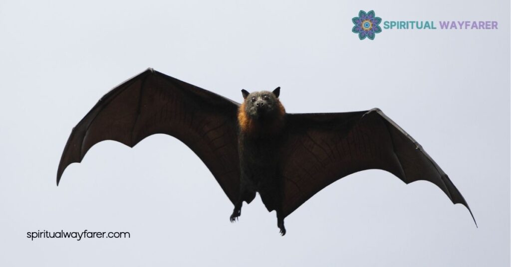 Unveiling Bat Symbolism: Meanings Across Cultures & History 1 Historical Symbolism