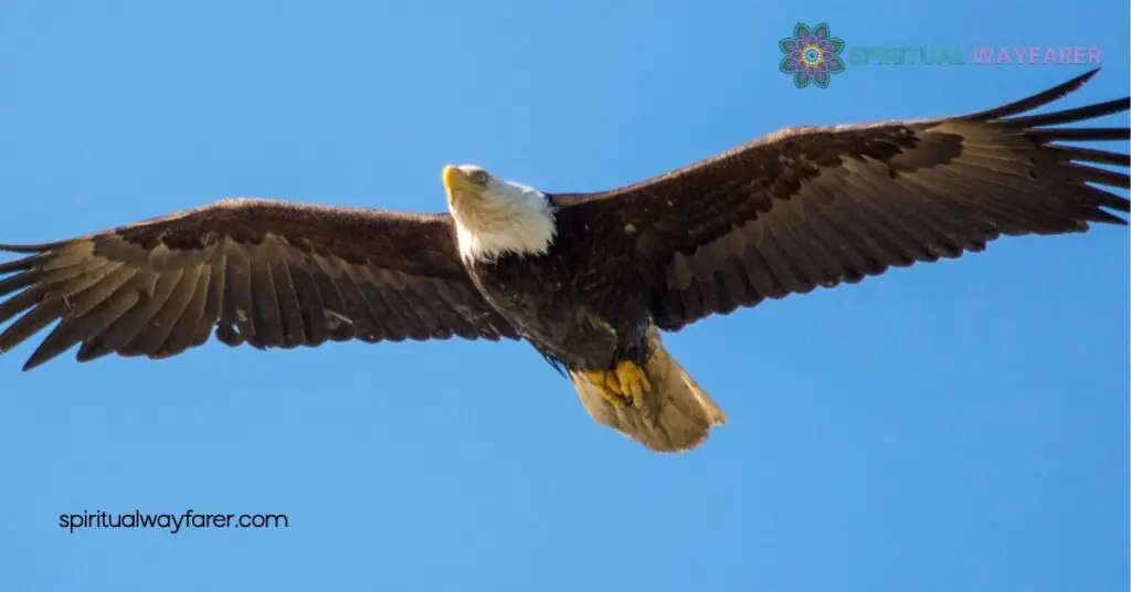 The Ultimate Guide to Eagle Symbolism: Meaning, History & Cultural Significance 1 History Of Eagle Symbolism