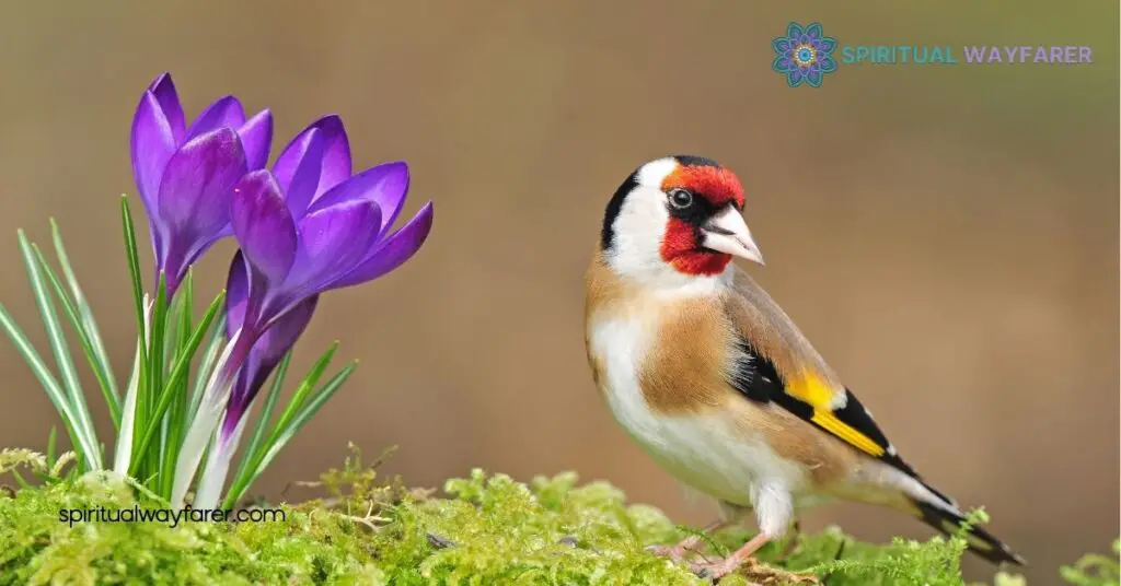Goldfinch Symbolism Revealed: Explore Its Meaning in Art, Culture & More 1 History of Goldfinch Symbolism