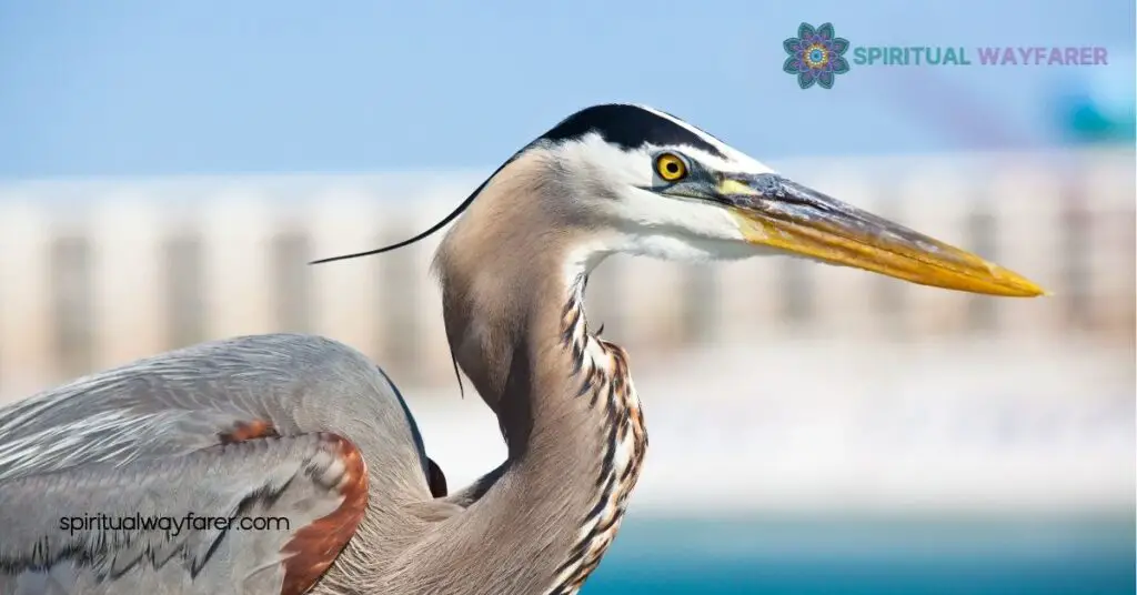 How To Incorporate Heron Feathers
