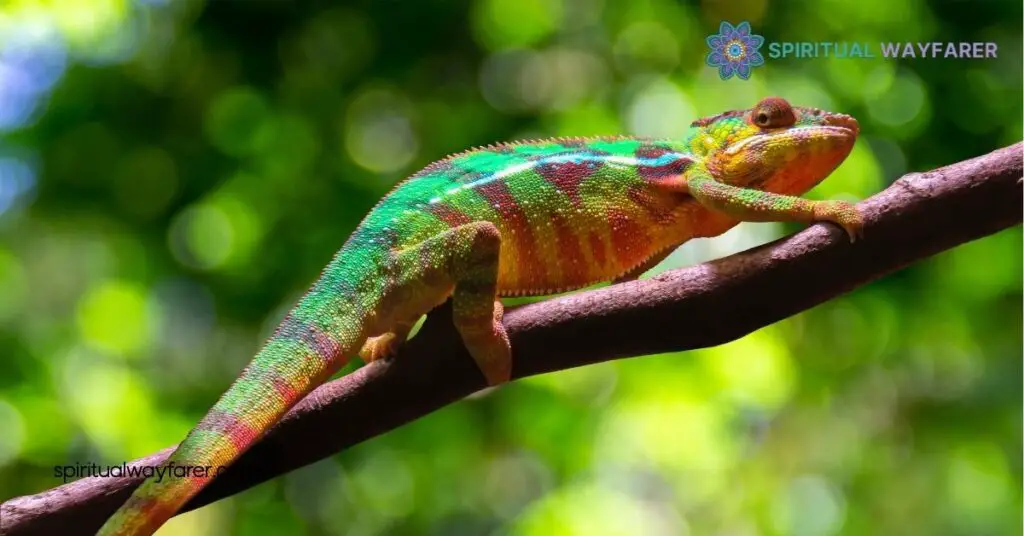 Unlocking the Lizard Spirit Animal Meaning: Transform Your Life with Resilience and Adaptability 4 How to Connect with Your Lizard Spirit Animal
