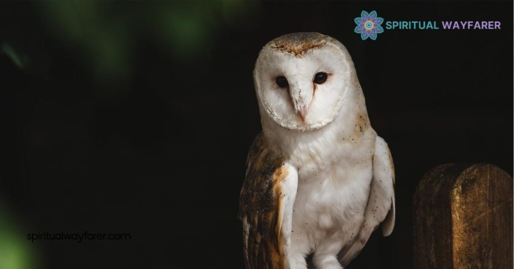 The Spiritual Meaning of Owl Hooting at Night: Unlock Hidden Messages 4 How to Connect with the Spiritual Message