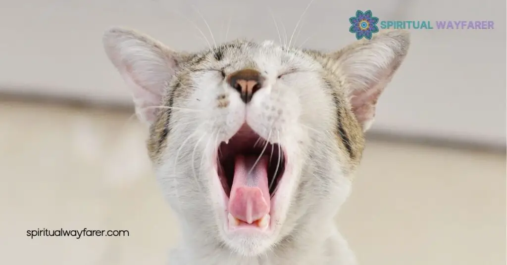 Which Native American Spirit Animal Matches Your Birthday? Find Out Now 3 How to Discover Your Spirit Animal