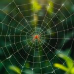 HpPu8drQR Z 9GmUb5dpu