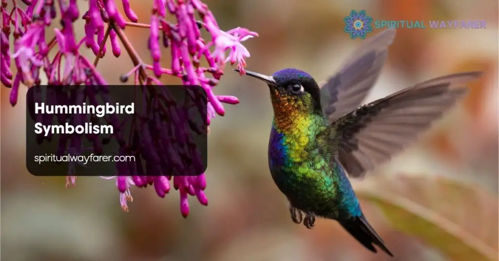 Hummingbird Symbolism